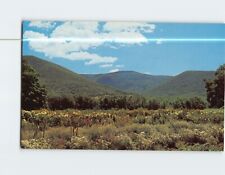 Postcard The Hopper view of Mount Greylock from Mount Hope Farm MA USA picture