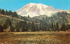 Mt Mount Rainier WA Washington Paradise Valley Cascade Range Vtg Postcard A1 picture