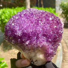 1.16LB  Very Rare Natural Amethyst Flower Cluster Specimen Healing picture