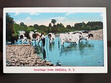 Greetings from Odessa, NY, Boy w/ Cattle - 1915-30, Rough Edges picture