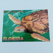 Postcard FL. Greetings from Florida. Turtle Tortoise Oversized 4.5X6.5 picture