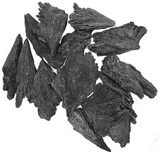 Black Kyanite Blades- Fans - 2 to 3.5