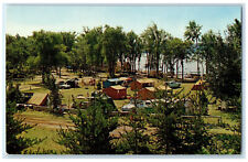 c1950's View of the Tent Sites Crystal Beach Madoc Ontario Canada Postcard picture