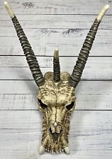 Veronese Dragon Skull Collection Statue Fossil Skeleton Figurine Hand Painted picture