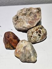 Michigan Rough Agate Lot Of 4 10 Oz FAST SHIPPING  picture