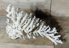 Natural Large White Spiky Coral Table Cluster 10” Long Read Description picture