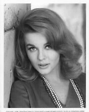Ann-Margret Gorgeous  1960s Original Vintage Publicity Photo 8x10 picture