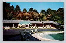 Postcard Rhododendron Motel in Bryson City North Carolina NC, Vintage N20 picture