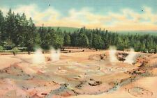 Vintage Postcard 1941 Fountain Paint Pots Lower Geyser Basin Yellowstone Park WY picture