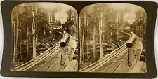White, Stereo, Oregon, trainload of logs and engine pulling a trailer of Huge Lo picture
