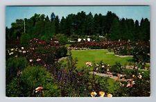 Seattle WA-Washington, Woodland Park, Seattle Zoo, Antique, Vintage Postcard picture