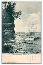 c1910's View Of Lake Erie Near Buffalo New York NY Posted Antique Postcard picture