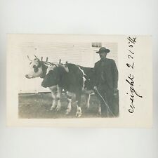Keene Cattle Farmer RPPC Postcard c1906 New Hampshire Prize Cows Real Photo H734 picture