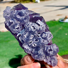 243G Natural purple cubic fluorite crystal cluster mineral sample picture