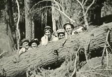 BC231 Vtg Photo FALLEN TREE GROUP FUN LINE UP c Early 1900's picture