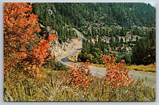 Vintage Postcard WY Jackson Alpine Snake River Canyon Chrome ~13314 picture