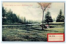 c1910s Pike's Ravine and Pond, Middletown, Connecticut CT Unposted Postcard picture