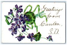 Canton South Dakota SD Postcard Greetings Flower Embossed Glitter c1910 Vintage picture