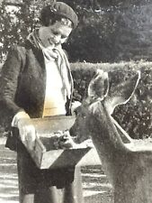 OC Photograph Beautiful Woman Feeds Feeding Wild Deer 
