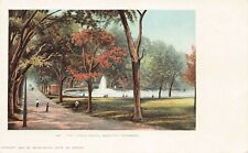 The Frog Pond, Boston Common, Boston, Mass., 1904 Postcard, Unused  picture