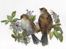1888 Chromo de Coupis, FANCY BIRDS NO.9 Antique, Diecut, 3