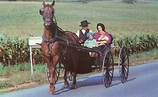 Postcard Amish Family In Horse And Buggy Pennsylvania Dutch Amish Country picture