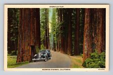 Redwood Highway CA- California, Dyerville Flat, Antique, Vintage Postcard picture