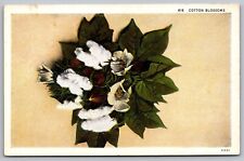 Cotton Blossoms Flowers WB Postcard UNP VTG Curt Teich Unused Vintage picture