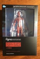 FREEing Human Anatomical Model Figma Action Figure Multicolor picture