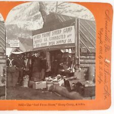 Red Front Sheep Camp Stereoview c1898 Keystone Alaska Chilkoot Trail Gold H1377 picture