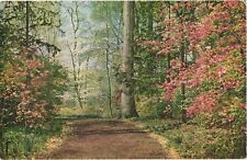 Azaleas At Entrance to The Winterthur Gardens, Winterthur, Delaware Postcard picture