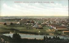 Canada Calgary,AB Exhibition Grounds and Race Track Alberta Postcard Vintage picture