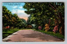 Wichita KS-Kansas, Riverside And Oak Park Drive  Vintage Souvenir Postcard picture