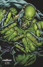Giant-size Hulk #1 Chris Allen Stormbreakers Var () Marvel Prh Comic Book 2024 picture