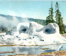 Grotto Geyser Snowcapped Postint Yellowstone National Park Postcard A7 picture
