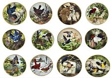 The National Audubon Society Birds of the Countryside Collector Plate & Hanger picture