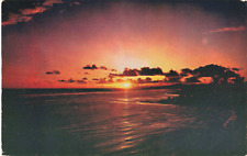 Berkeley CA California, Pacific Gold Coastline Sunset, Vintage Postcard picture