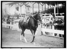 Photo:Miss Helen Morton,Horse Show,Washington,District of Columbia,DC,1914 picture