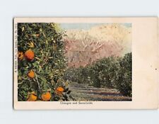 Postcard Oranges and Snowfields, California picture
