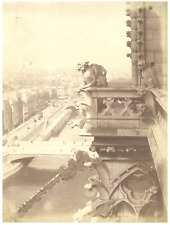 France, Paris, Notre Dame vintage silver print, matte silver print 17x2 picture