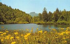 NC - 1950’s Table Rock Linville Gorge Pisgah Forest North Carolina picture