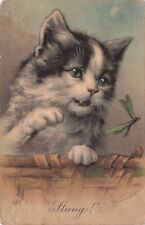Vintage Postcard Tabby & White Bicolor Kitten Stung By Dragonfly Postmarked 1908 picture