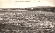 Postcard, Log Jam, Penobscot River, Maine, American Art Post Card, Mass picture