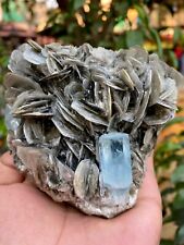 3225 CTS Beautiful Double Termination Aquamarine Crystal with Muscovite Specimen picture