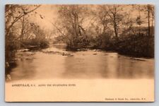 c1905 Tuck Hackney Moale Along Swannanoa River Asheville North Carolina P506A picture
