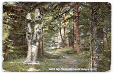 c1910s Casco Bay Maine Wood Scene Bailey's Island Vintage Posted ME Postcard picture