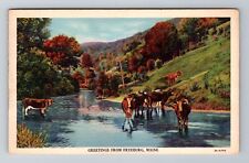 Fryeburg ME-Maine, General Greetings, Scenic Countryside, Vintage c1935 Postcard picture
