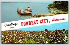 State Banners~Forrest City Arkansas Greetings~Car Ferry~Cotton~1960 Postcard picture