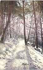 Vintage Early 1900's Winter In The Early 1900's PCB-2O picture