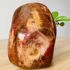 9.0lb Large Natural Petrified Wood Crystal Fossil Mineral Specimen Healing  picture